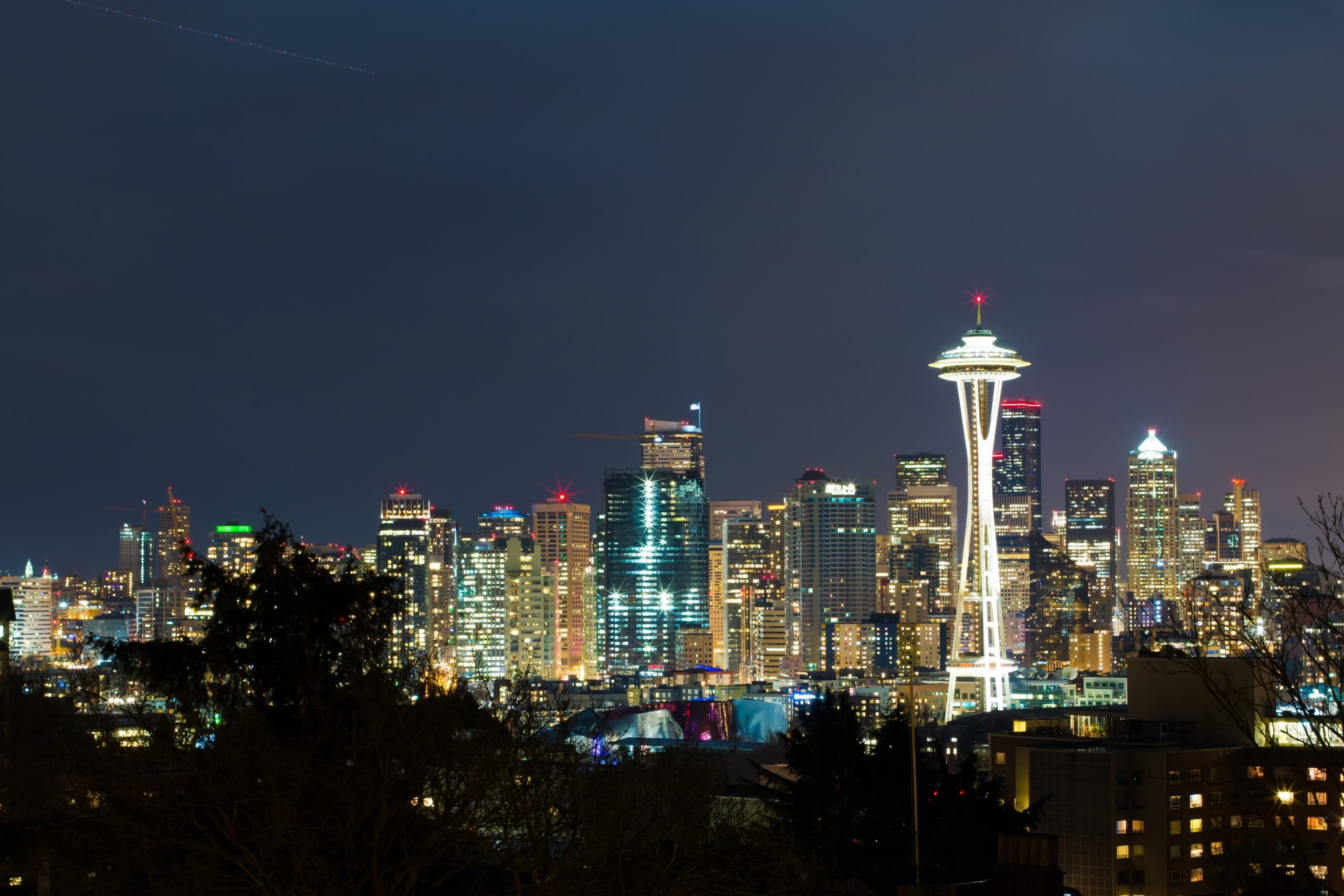 Seattle City Light OnCall for Electric Utility Services and Lighting